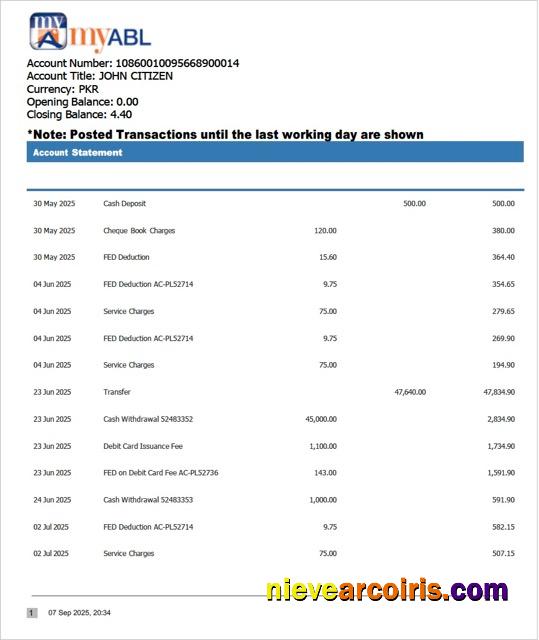 Pakistan Myabl account statement Word and PDF